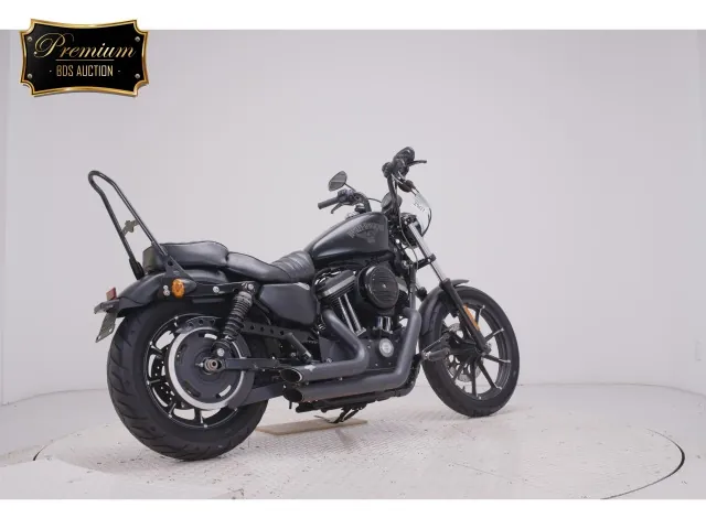Harley-Davidson XL883N 2016, matt black, фото 5