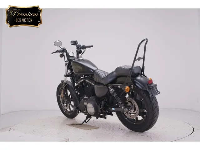 Harley-Davidson XL883N 2016, matt black, фото 6