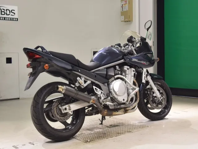 Suzuki Bandit 1250S 2007, серый, фото 5