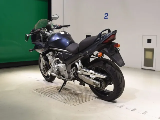 Suzuki Bandit 1250S 2007, серый, фото 6