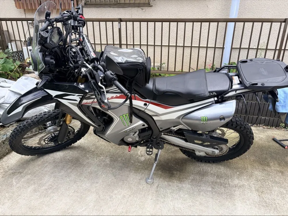 Honda CRF250 Rally 2019, фото 3