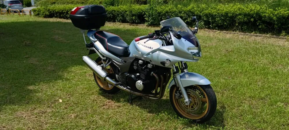 Kawasaki ZR-7S 2003, фото 3