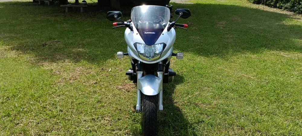 Kawasaki ZR-7S 2003, фото 4