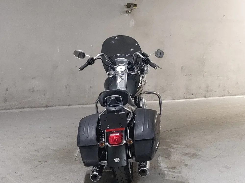 Harley-Davidson FLHRS1450 2006, серый, фото 4