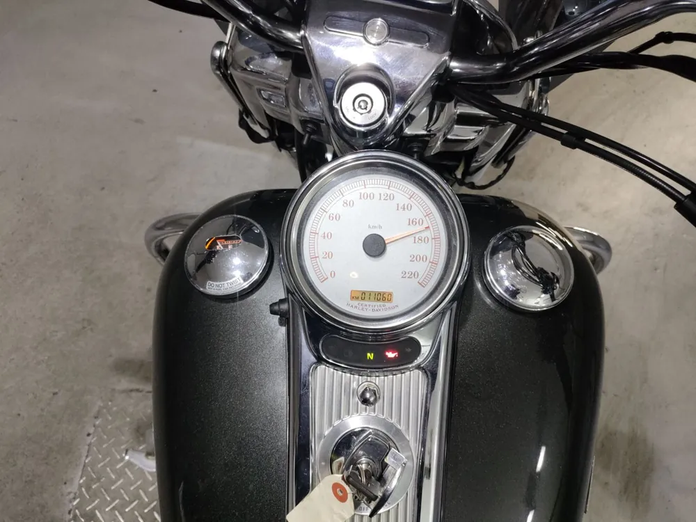 Harley-Davidson FLHRS1450 2006, серый, фото 5