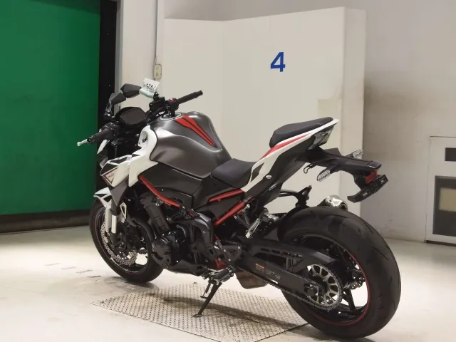 Kawasaki Z900-2 2021, белый, фото 6