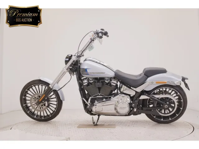 Harley-Davidson FXBR1920 2024, серебристый, фото 2