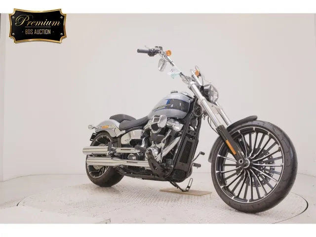 Harley-Davidson FXBR1920 2024, серебристый, фото 3
