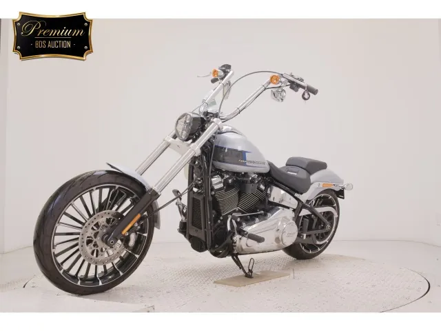 Harley-Davidson FXBR1920 2024, серебристый, фото 4