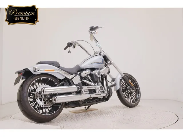Harley-Davidson FXBR1920 2024, серебристый, фото 5