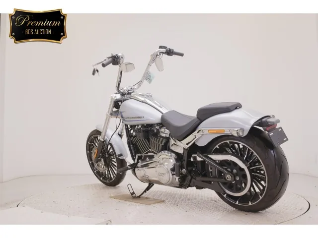 Harley-Davidson FXBR1920 2024, серебристый, фото 6