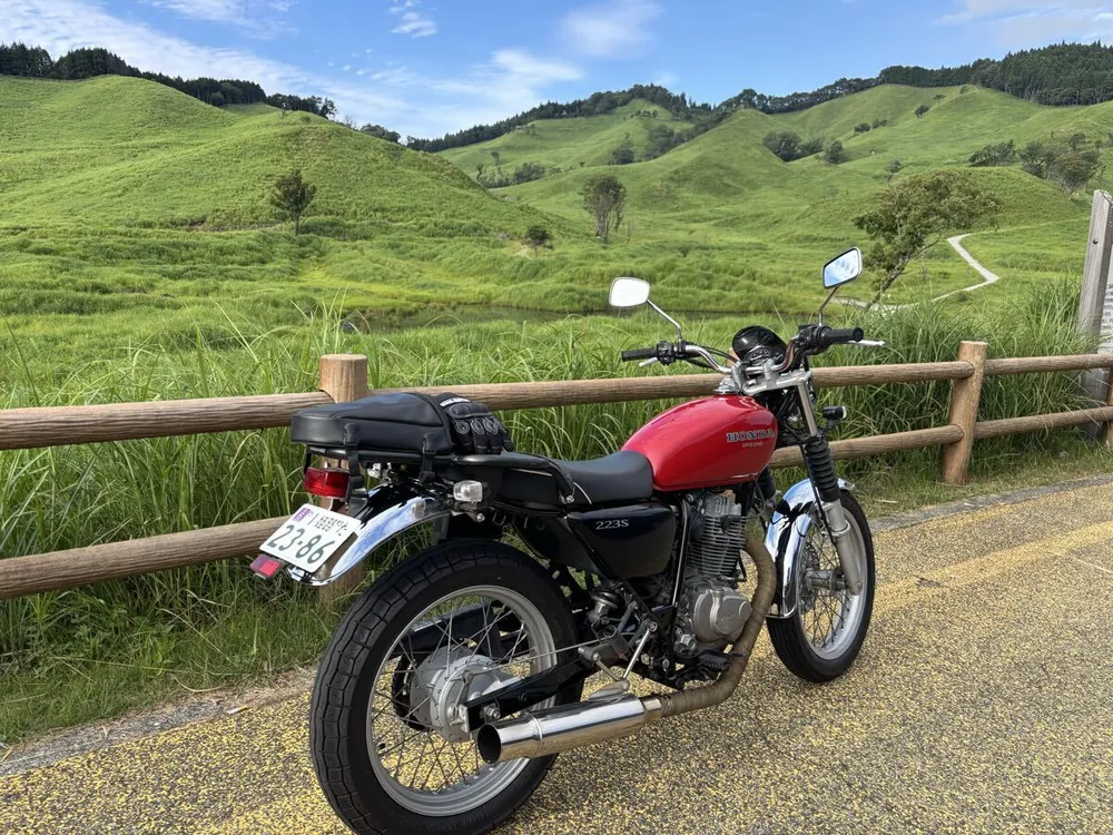 Honda CB223S 2010, фото 2
