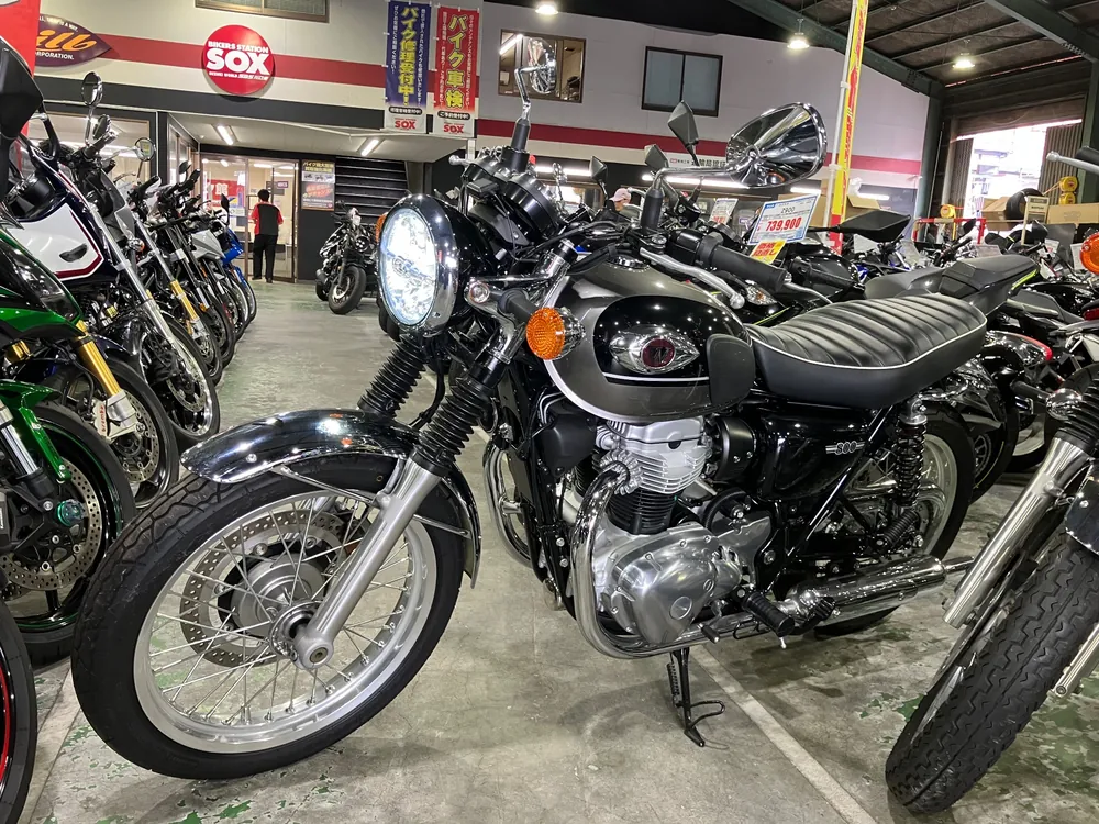 Kawasaki W800-2 2024, серый, чёрный, фото 2