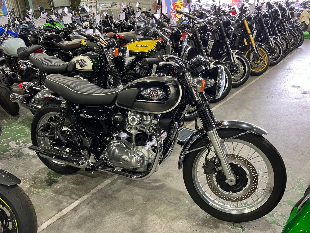 Kawasaki W800-2 2024, серый, чёрный, фото 4