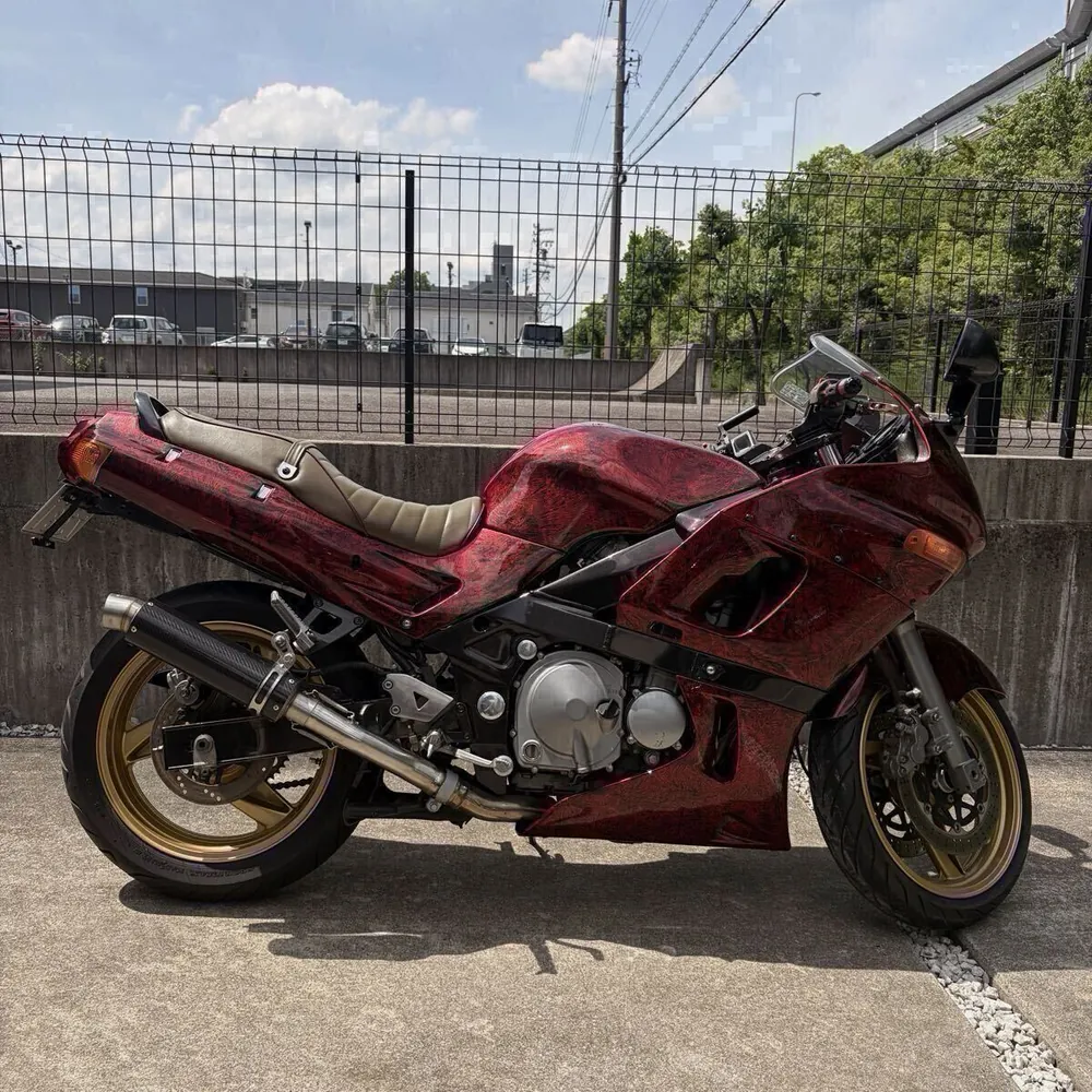 Kawasaki ZZR400 2005, фото 3