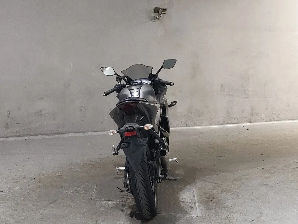 Yamaha YZF-R25, серый, фото 4