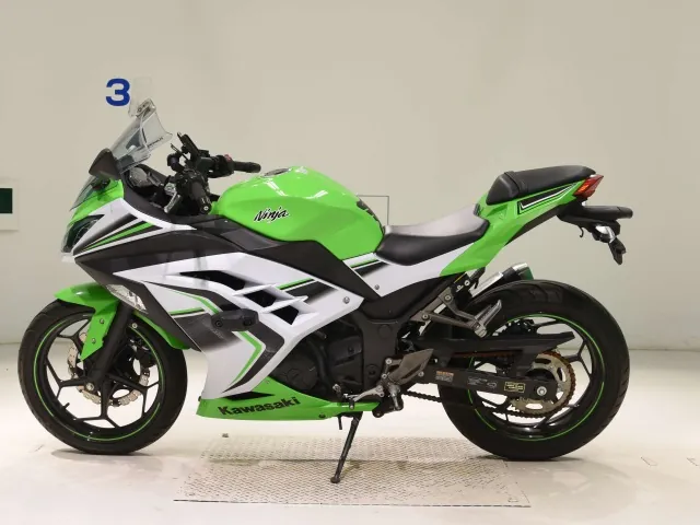 Kawasaki Ninja 250, white | green, фото 2