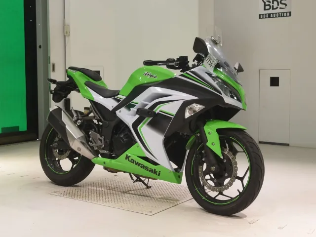 Kawasaki Ninja 250, white | green, фото 3