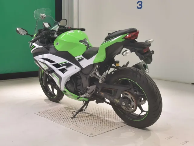Kawasaki Ninja 250, white | green, фото 6