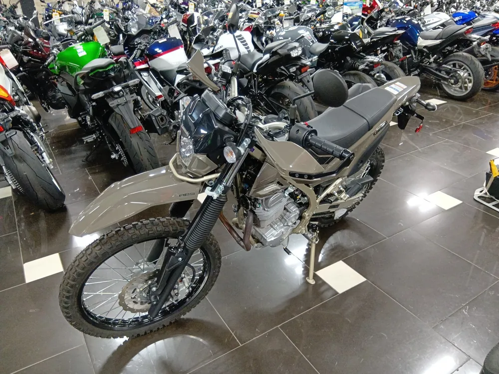 Kawasaki KLX230 Sherpa, серый, фото 4