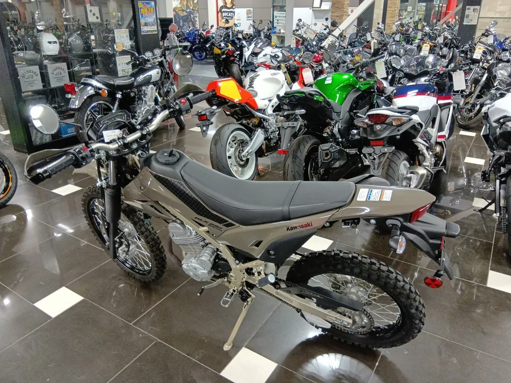 Kawasaki KLX230 Sherpa, серый, фото 7