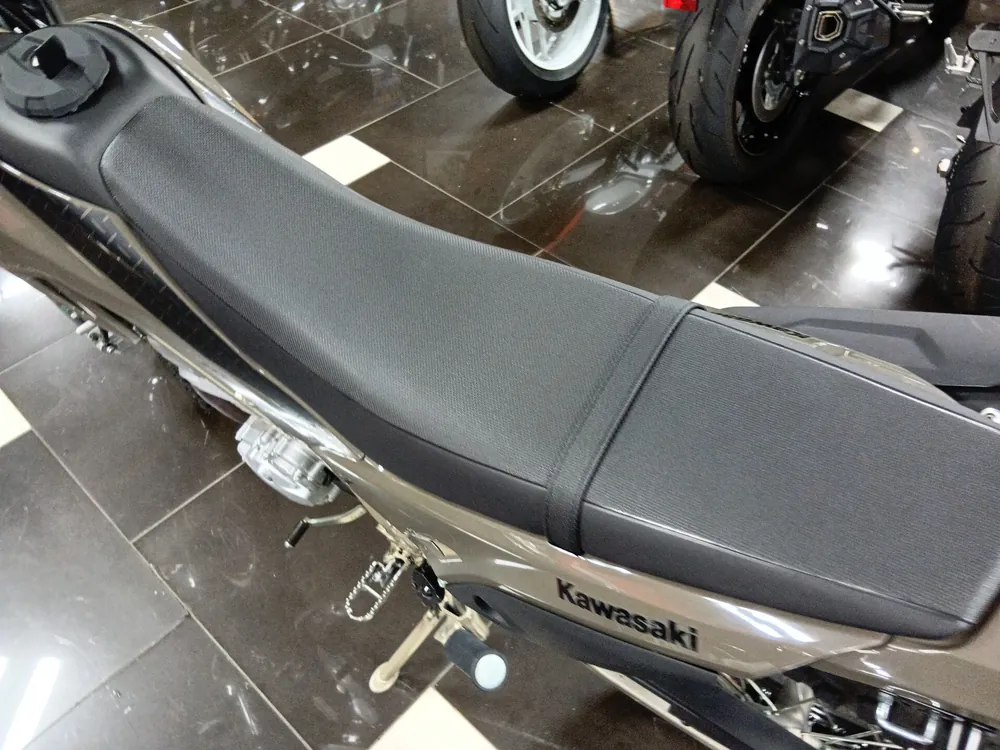 Kawasaki KLX230 Sherpa, серый, фото 10