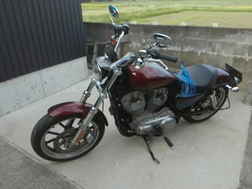 Harley-Davidson XL883R 2015, w red, фото 2