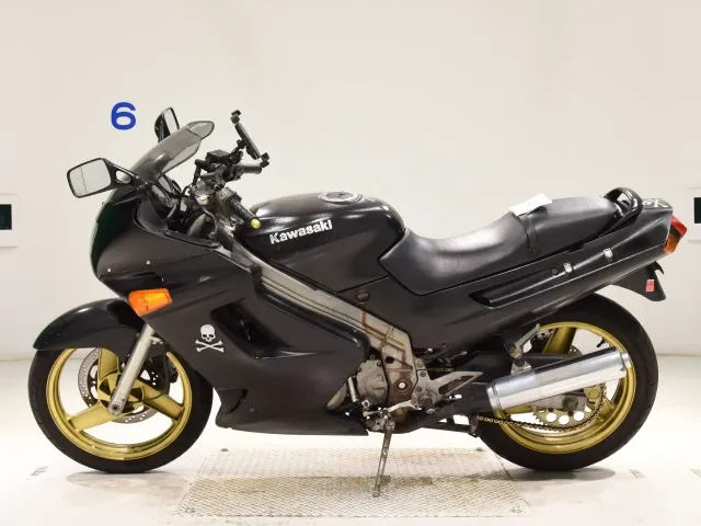Kawasaki ZZ-R250, чёрный, фото 2