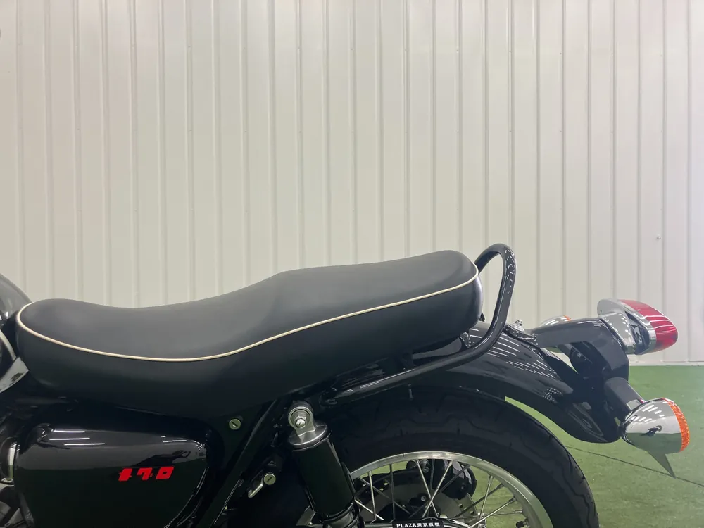 Kawasaki W800-2 2022, чёрный, серебристый, фото 19
