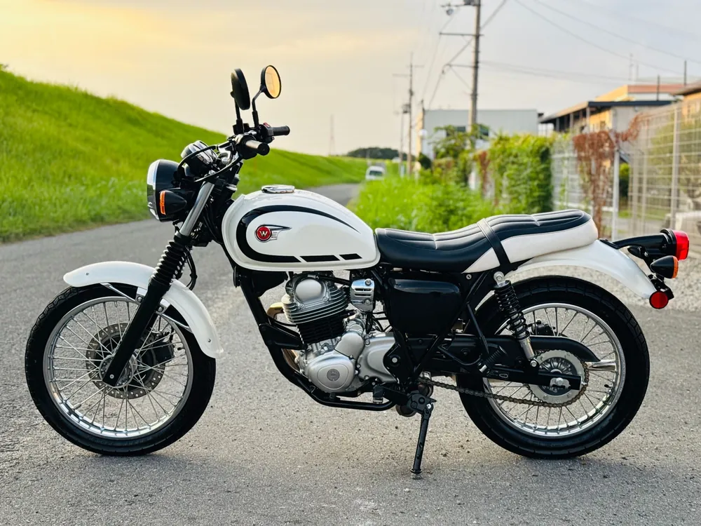 Kawasaki W230, белый, фото 10