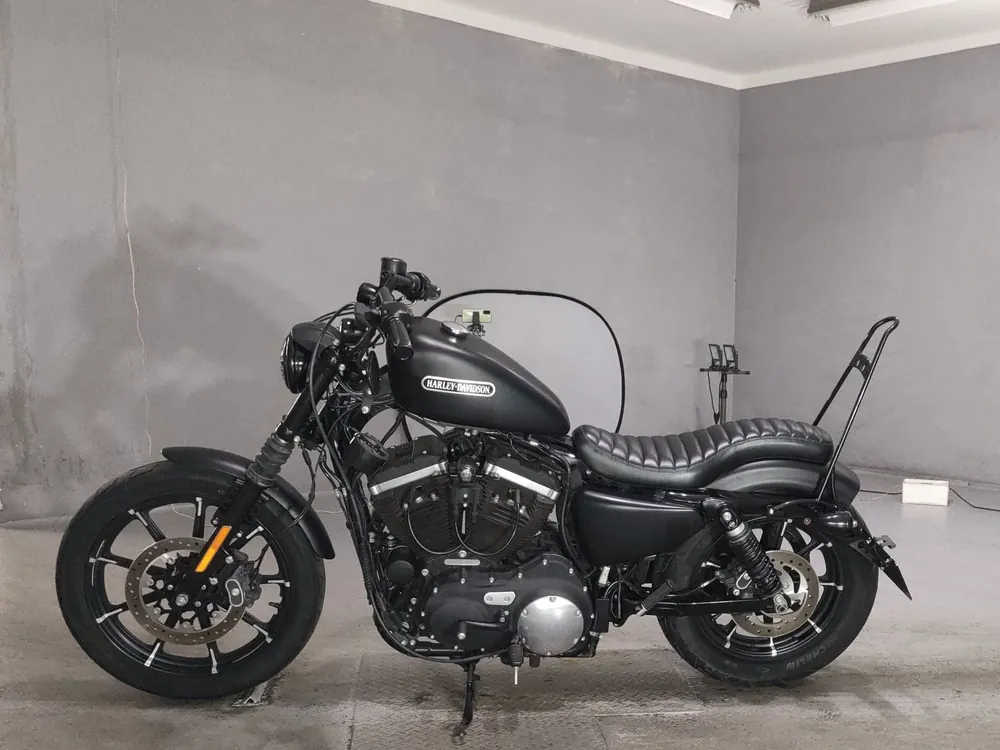 Harley-Davidson XL883N 2017, чёрный, фото 2