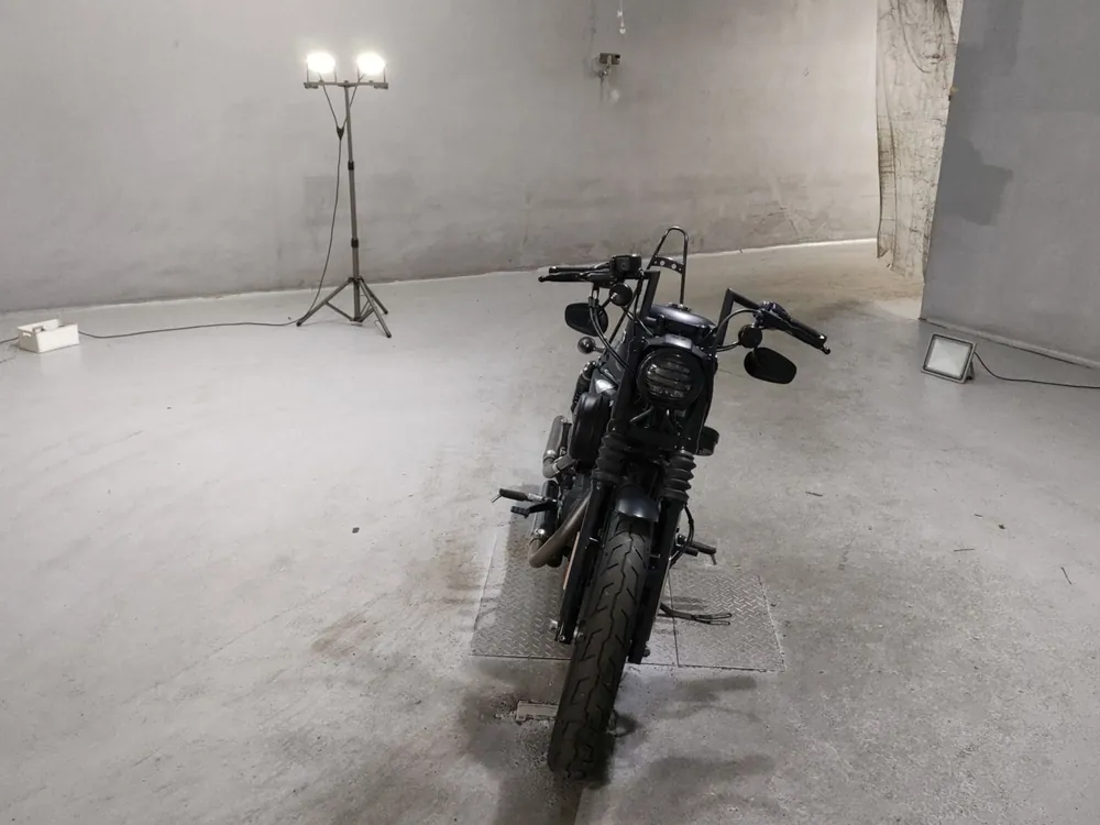 Harley-Davidson XL883N 2017, чёрный, фото 3