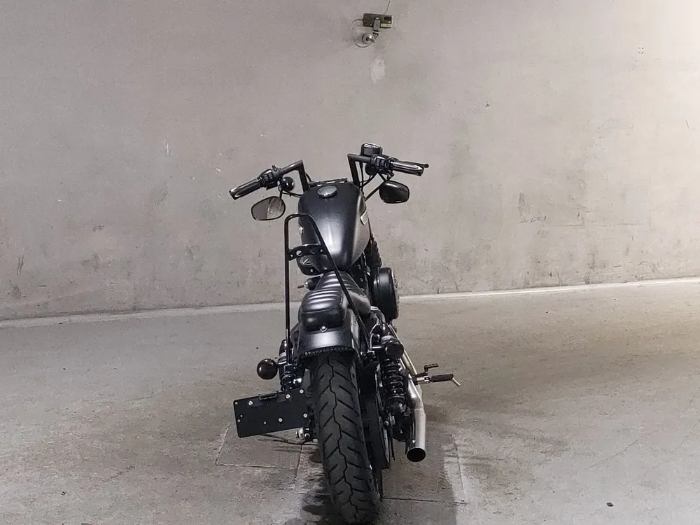 Harley-Davidson XL883N 2017, чёрный, фото 4