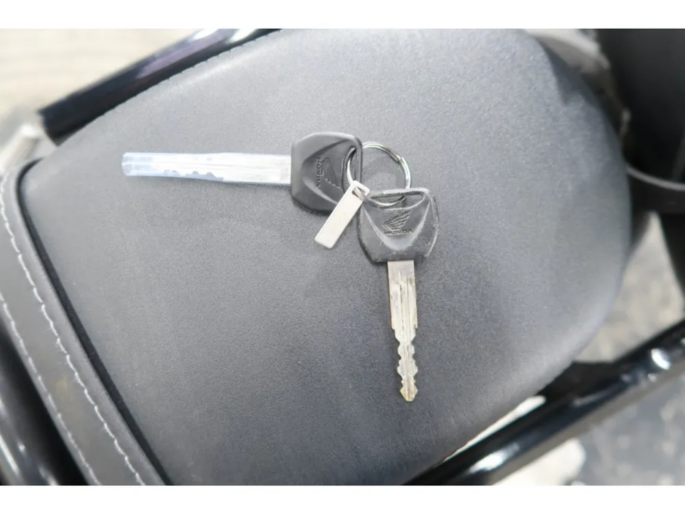 Honda Rebel 250, maddo gray, фото 18
