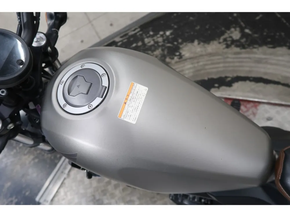 Honda Rebel 250, maddo gray, фото 10