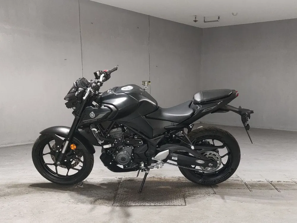 Yamaha Mt-03A 2025, чёрный, фото 2