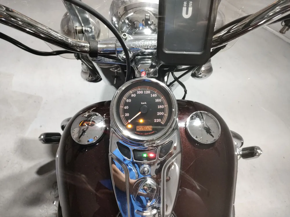 Harley-Davidson Heritage Softail Classic 2010, light brown, фото 5