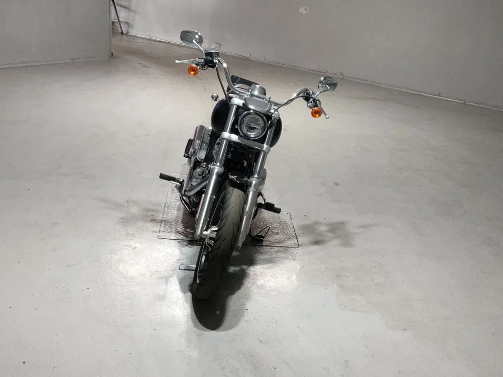 Harley-Davidson FXLR1750 2018, чёрный, фото 3