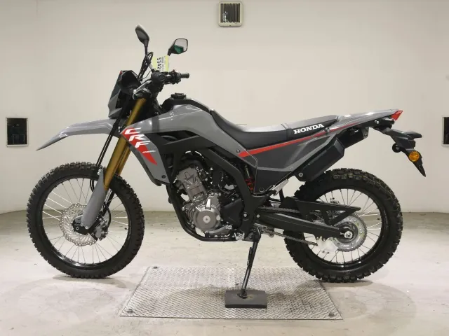 Honda CRF250 Rally, серый, фото 2