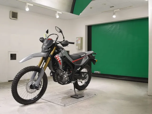 Honda CRF250 Rally, серый, фото 4