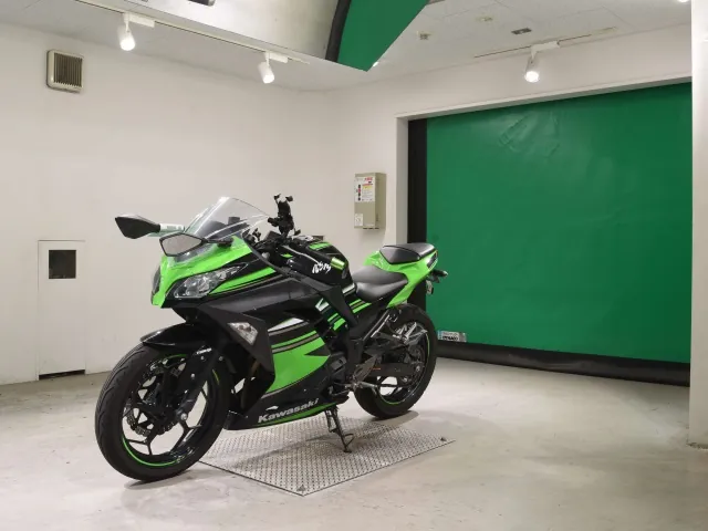 Kawasaki Ninja 250, black | green, фото 4