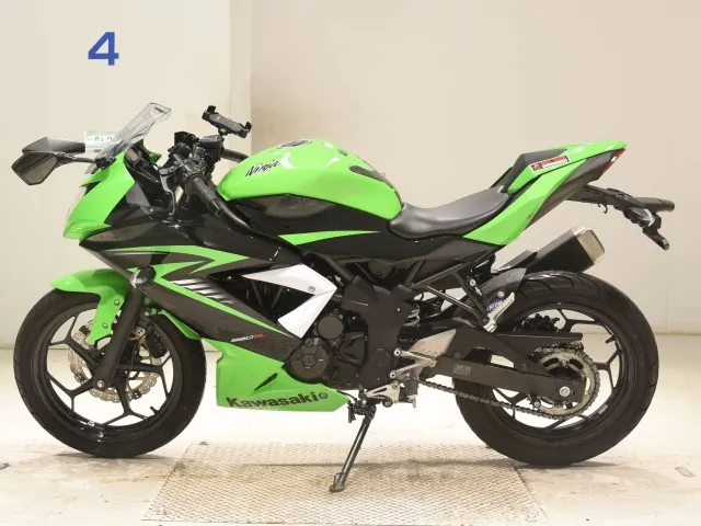 Kawasaki Ninja 250SL, чёрный, зелёный, фото 2