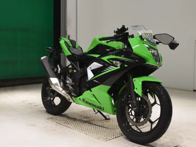 Kawasaki Ninja 250SL, чёрный, зелёный, фото 3