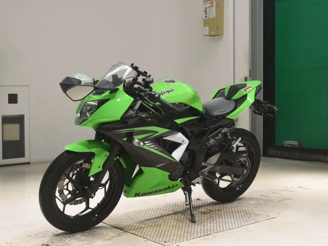 Kawasaki Ninja 250SL, чёрный, зелёный, фото 4