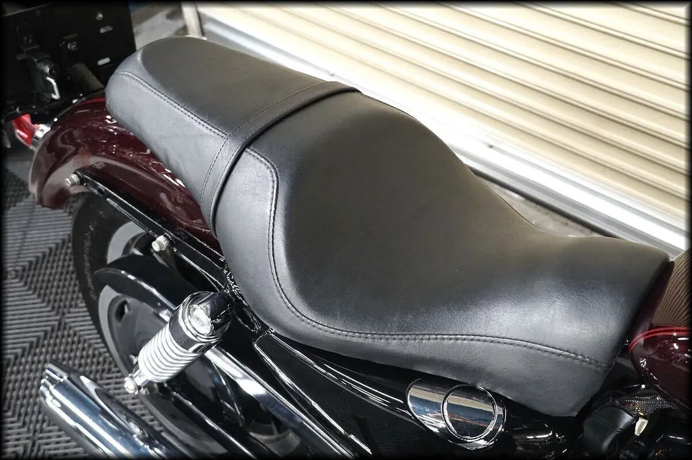 Harley-Davidson XL1200L 2006, фото 8