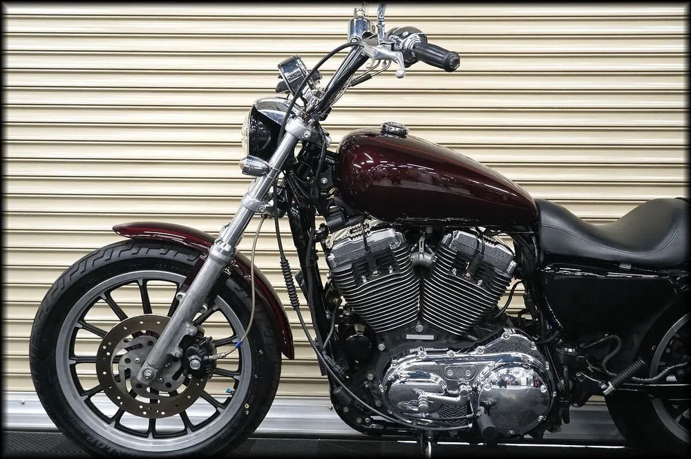 Harley-Davidson XL1200L 2006, фото 10