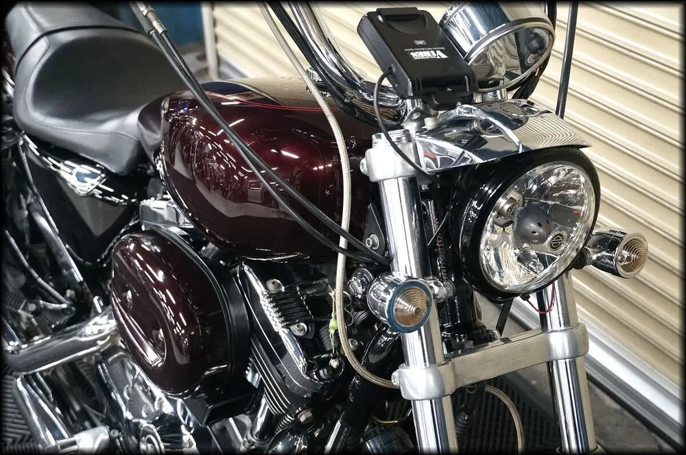 Harley-Davidson XL1200L 2006, фото 5