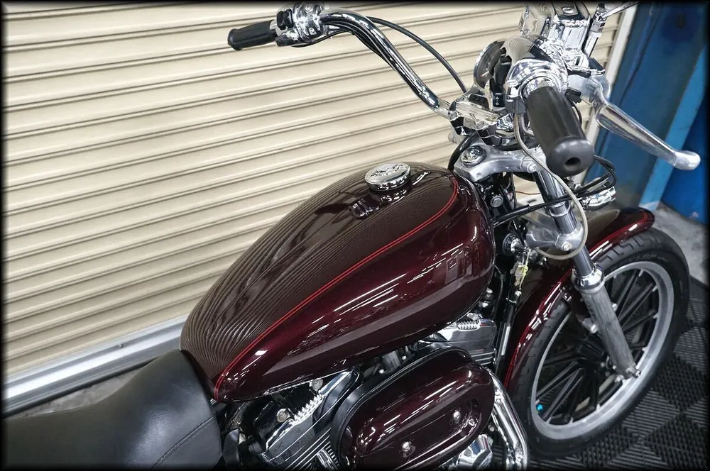 Harley-Davidson XL1200L 2006, фото 7