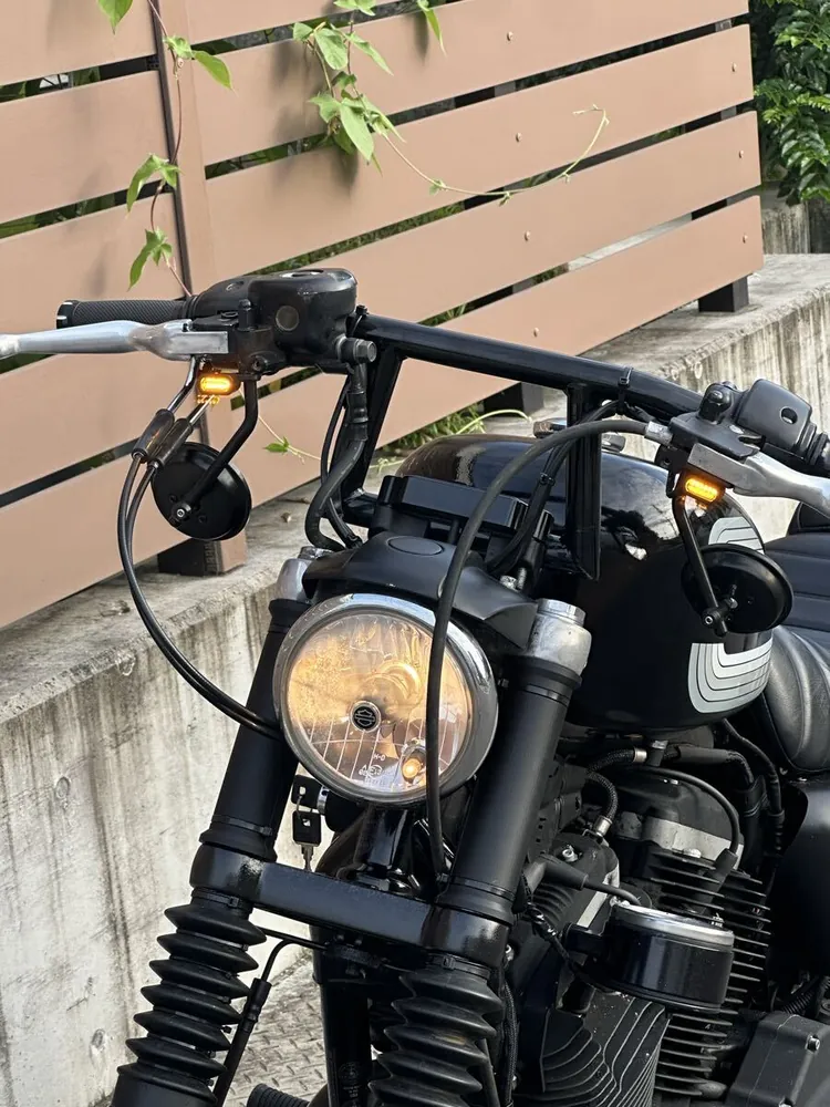 Harley-Davidson Sportster XL883R 2006, фото 9