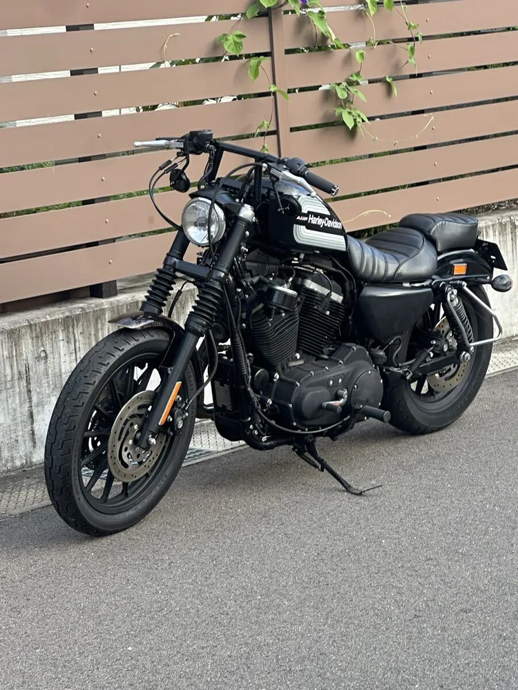 Harley-Davidson Sportster XL883R 2006, фото 5